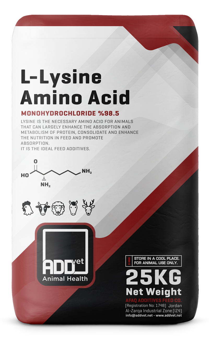 L-Lysine Amino Acid