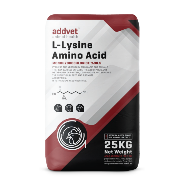 L-Lysine Amino Acid